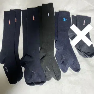 이스트 보이 삭스 5켤레 세트