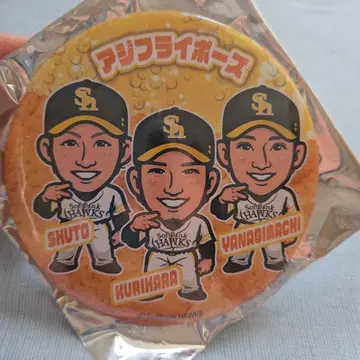 와카타카 가챠 아지 플라이 포즈 캔뱃지
