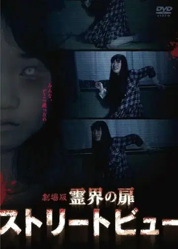 미개봉 새상품 셀판 영계의 문 스트리트 뷰 DVD 코가 소이치로