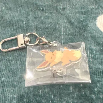 포케슬리 이브이
