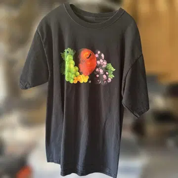 FRUIT OF THE LOOM fruit print T
