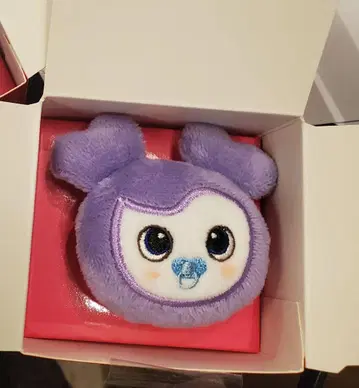 TWICE 봉제인형 링 사나