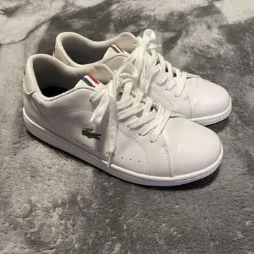 Lacoste 화이트 스니커즈