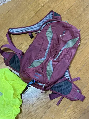 deuter 백팩 버건디 race 8
