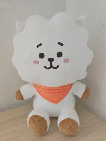 BT21 RJ BASIC 봉제 인형 L 진