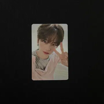tws 시뉴 회장에서만 한정판
