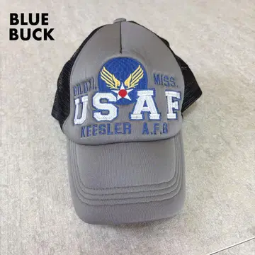 BLUE BUCK 하시모토 상회 캡 USAF AIR FORCE