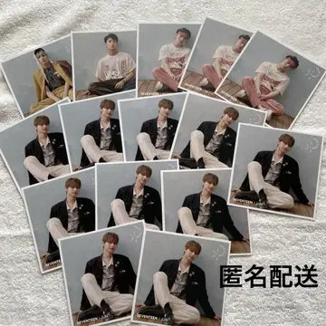 SEVENTEEN 흩날리는 꽃잎