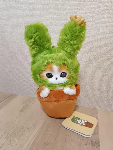 모프 샌드 선인장 봉제 인형