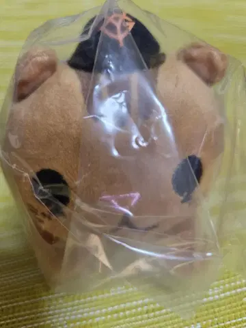 퍼펫 어깨에 올라타는 마스코트 고바야시 세이지