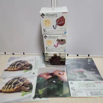 파충류 제일복권 D상 크레스티드 게코 E상 레프틸스 헤드 마그넷