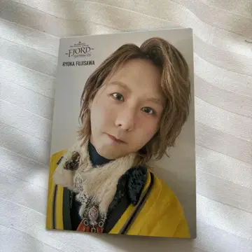 Mrs. GREEN APPLE 피요르드 포토 카드 레어 후지사와 료카