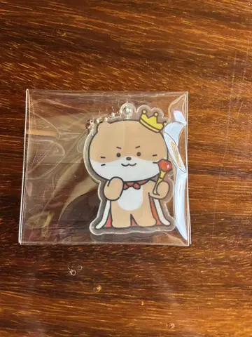 MINITEEN SEVENTEEN 디노 아크릴 키링