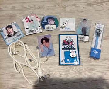 straykids 리노 굿즈 묶음 판매 캔뱃지 키링 폰 탭