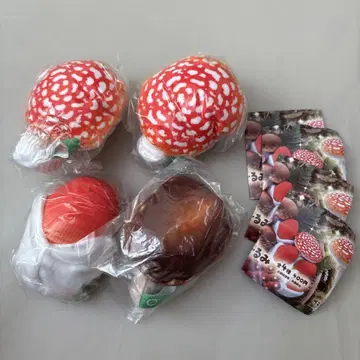 버섯 봉제 인형 가챠 4개 세트