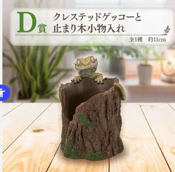 제일복권 BANDAI 파충류 양서류 크레스티드 게코 소품함