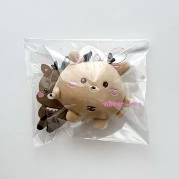 RIIZE 라이즈 성찬 미니 인형 키링 봉제인형
