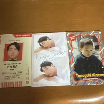 요시모토 콜레카 금붕어 반장 3장 세트