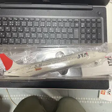 JTA 보잉 737-400 유니세프 디자인
