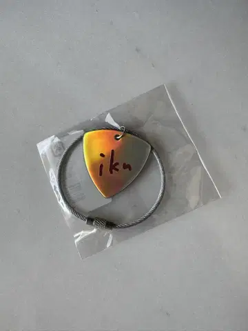 이쿠타 에리카 피크 키링