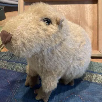 카피바라 리얼 봉제 인형