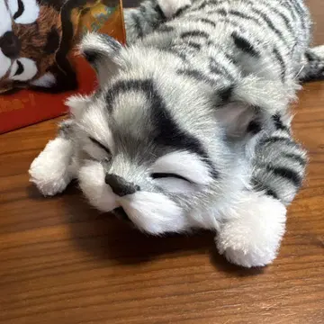 SPACERAIL 웃는 고양이 봉제 인형