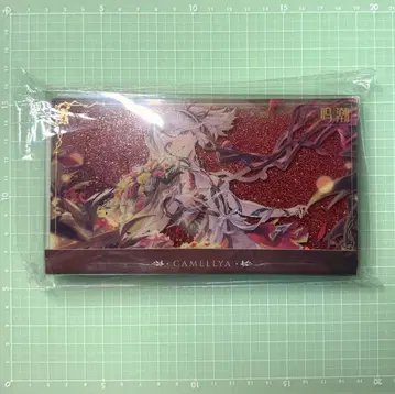 나루시오 츠바키 류사 아크릴 블록 코로타 공식 정품