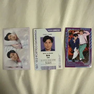 마유리카 요시모토 콜레카