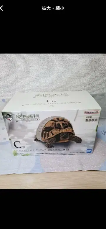 파충류 및 양서류 제일복권 C상 헬만리쿠가메