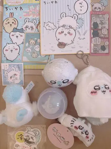 모몽가 묶음 판매