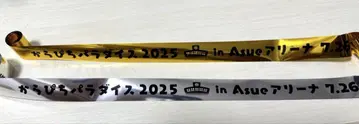 컬러풀 피치 카라피치 파라다이스 2025 라이브