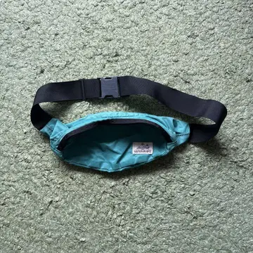 Gregory 테일러너