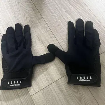 소울즈 글로브