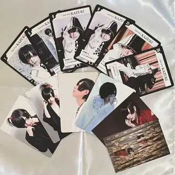 트레이딩 카드 12매 세트