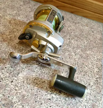 Daiwa 다이와 씨 라인 돌돔 Z40WH