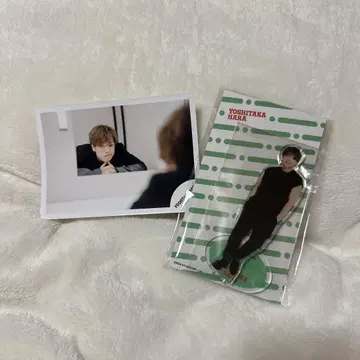 timelesz 하라 요시타카 아크릴 스탠드