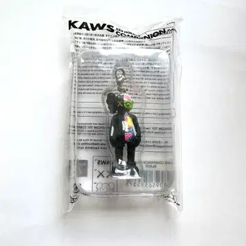 KAWS 키링 COMPANION (FLAYED) BLACK