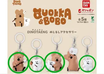 QUOKKA&BOBO DINOTAENG 메지루시 액세서리