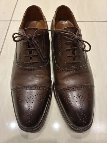 스카치 그레인 다크 브라운 25cm 윙팁