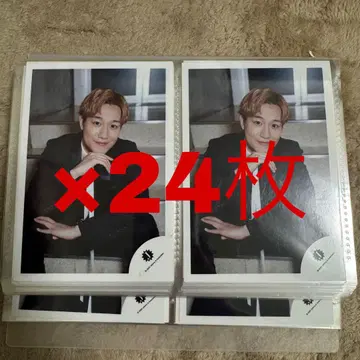 츠바키 야스라 공식 사진 24장