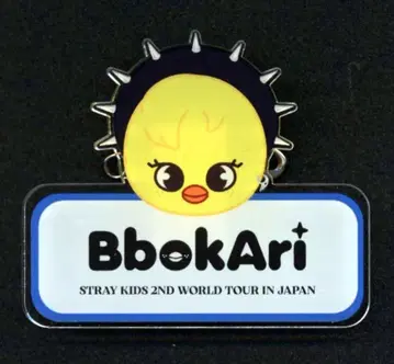 StrayKids SKZOO bokAri FELIX 네임 배지