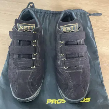 프로 스테이터스 업 신발 26.5cm