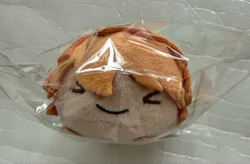 하이큐 노루캬라 히나타 쇼요 중학교 유키가오카 중학교 택 포함