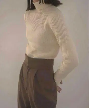 eaphi random rib turtleneck knit