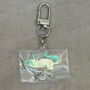 리피아 포켓몬 슬립 연결 아크릴 참