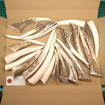 에조 사슴 뿔 크고 작은 모듬 1kg 핸드메이드 소재 250727-01