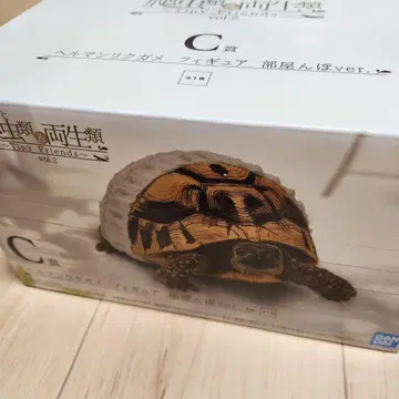 제일복권 파충류 및 양서류 C상 헬만리쿠가메 피규어 방에서 놀기 ver.