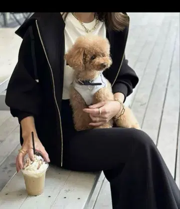 Emma Taylor 엠마 테일러 종이상자 집업 후드티