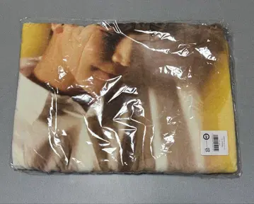 이와타 타카노리 비치 타월