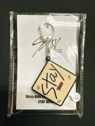 StrayKids 보이스 키링 승민
